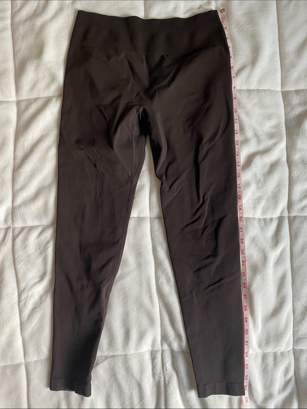Aurola Seamless Legging (Medium)
